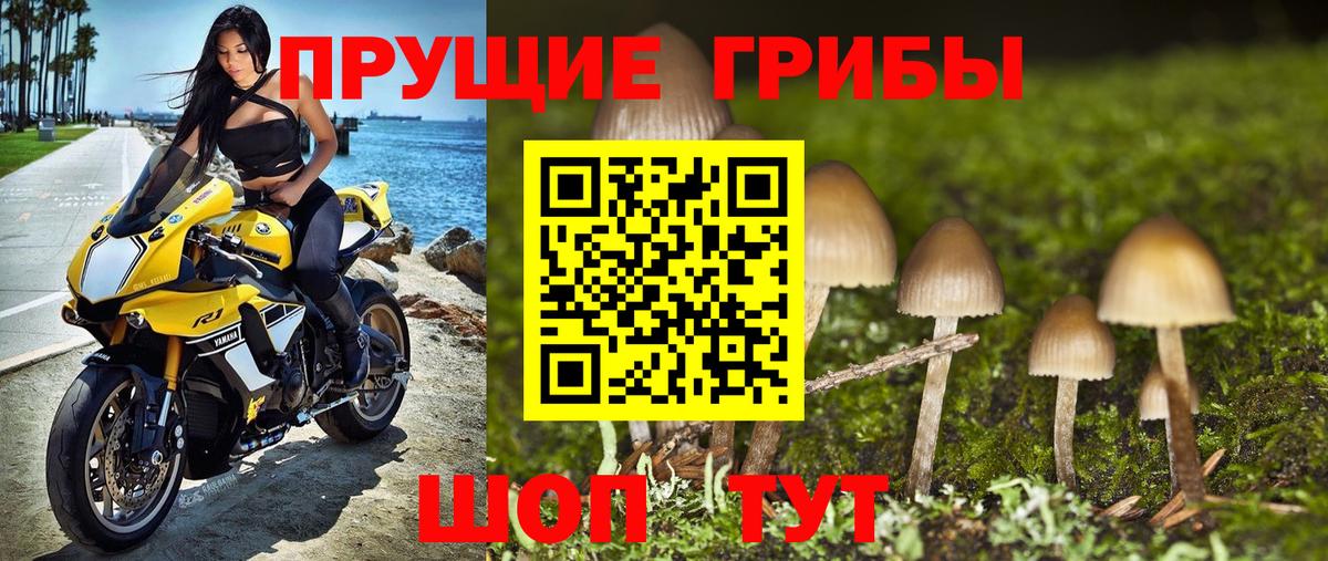 Псилоцибиновые грибы ЛСД Грозный