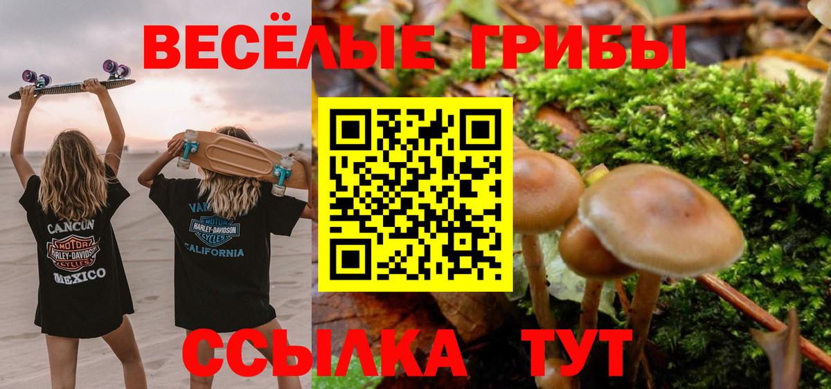Псилоцибиновые грибы прущие грибы  Вход с VPN  Грозный  Галлюциногенные грибы мицелий 
